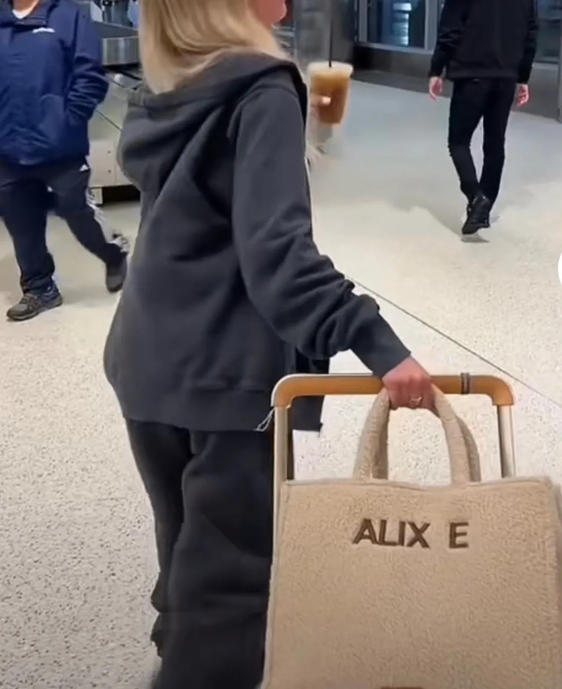 The Teddy Tote